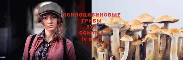 spice Абдулино
