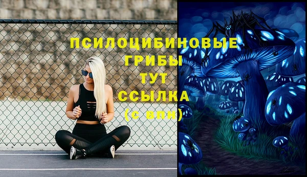 spice Абдулино