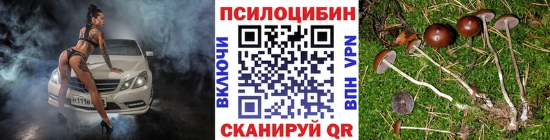 Псилоцибиновые грибы GOLDEN TEACHER  закладка  Миллерово 